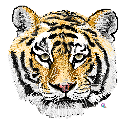 tigre con paint